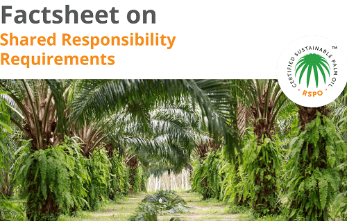 Cover Factsheet RSPO Shared responsibility