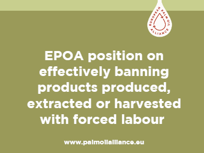Visual website position forced labour