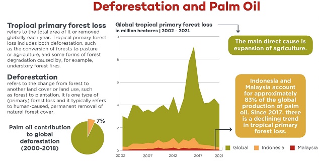 Deforestation and Palm Oil - 2022 FINAL SMALL